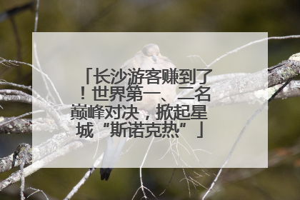 长沙游客赚到了！世界第一、二名巅峰对决，掀起星城“斯诺克热”
