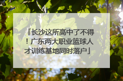 长沙这所高中了不得！广东两大职业篮球人才训练基地同时落户