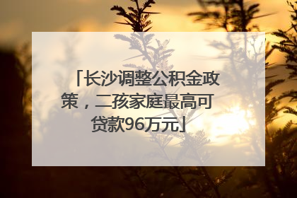 长沙调整公积金政策，二孩家庭最高可贷款96万元