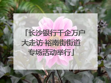 长沙银行千企万户大走访·裕南街街道专场活动举行
