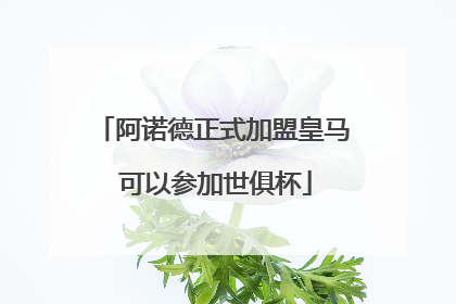 阿诺德正式加盟皇马 可以参加世俱杯
