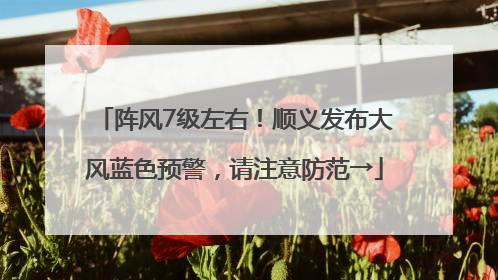 阵风7级左右！顺义发布大风蓝色预警，请注意防范→