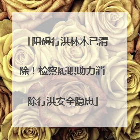 阻碍行洪林木已清除！检察履职助力消除行洪安全隐患
