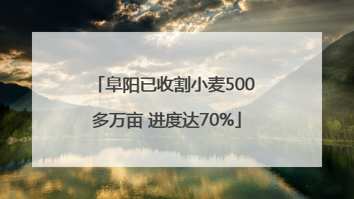 阜阳已收割小麦500多万亩 进度达70%