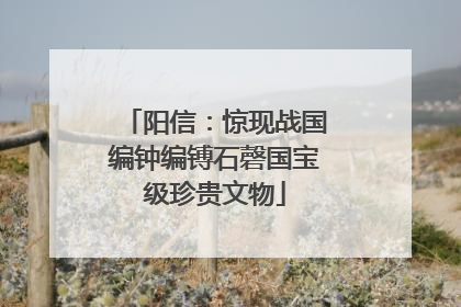 阳信：惊现战国编钟编镈石磬国宝级珍贵文物