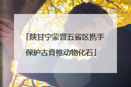 陕甘宁蒙晋五省区携手保护古脊椎动物化石