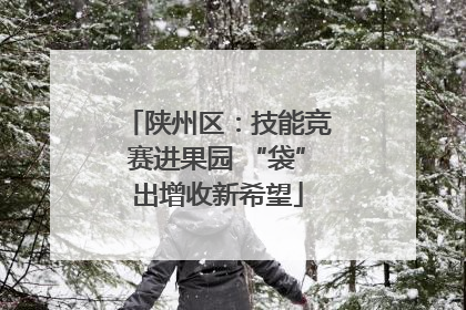 陕州区：技能竞赛进果园 “袋”出增收新希望