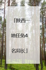 陕西一地任免4名局长