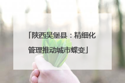 陕西吴堡县：精细化管理推动城市蝶变