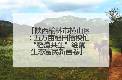 陕西榆林市横山区：五万亩稻田插秧忙 “稻渔共生”绘就生态富民新画卷