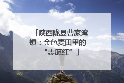 陕西陇县曹家湾镇：金色麦田里的“志愿红”
