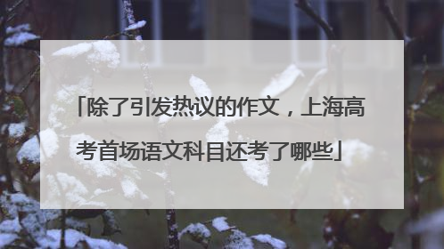 除了引发热议的作文，上海高考首场语文科目还考了哪些