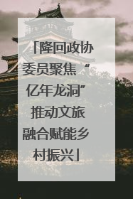 隆回政协委员聚焦“亿年龙洞” 推动文旅融合赋能乡村振兴
