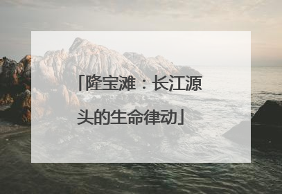 隆宝滩：长江源头的生命律动