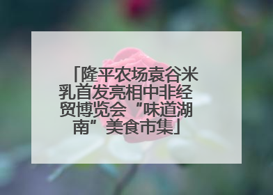 隆平农场袁谷米乳首发亮相中非经贸博览会“味道湖南”美食市集