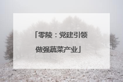 零陵：党建引领 做强蔬菜产业