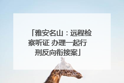 雅安名山：远程检察听证 办理一起行刑反向衔接案