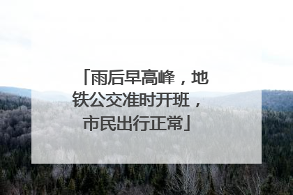 雨后早高峰，地铁公交准时开班，市民出行正常