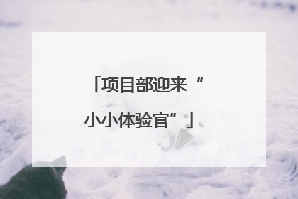 项目部迎来“小小体验官”