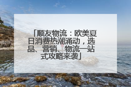 顺友物流：欧美夏日消费热潮涌动，选品、营销、物流一站式攻略来袭
