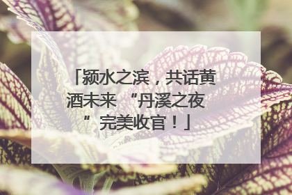颍水之滨，共话黄酒未来 “丹溪之夜”完美收官！