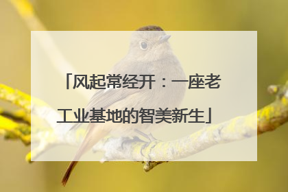 风起常经开：一座老工业基地的智美新生