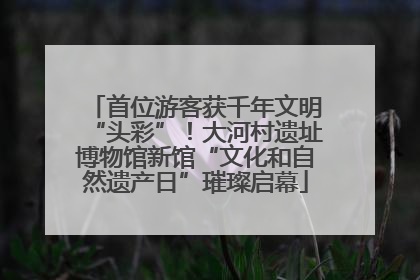 首位游客获千年文明“头彩”！大河村遗址博物馆新馆“文化和自然遗产日”璀璨启幕