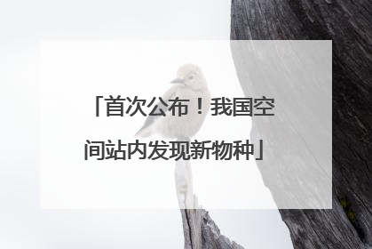 首次公布！我国空间站内发现新物种
