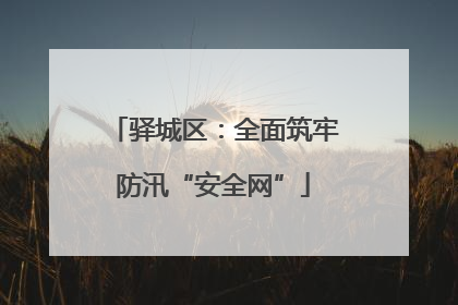 驿城区：全面筑牢防汛“安全网”
