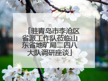 驻青岛市李沧区省派工作队莅临山东省地矿局二四八大队调研座谈