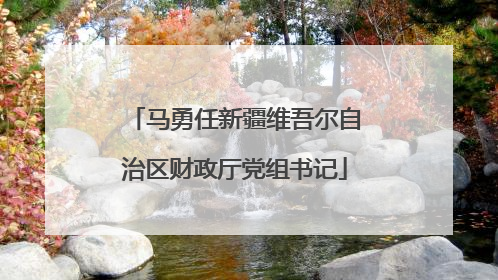 马勇任新疆维吾尔自治区财政厅党组书记