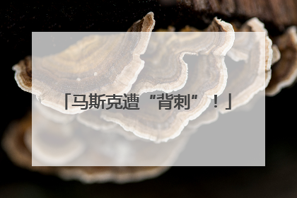 马斯克遭“背刺”！