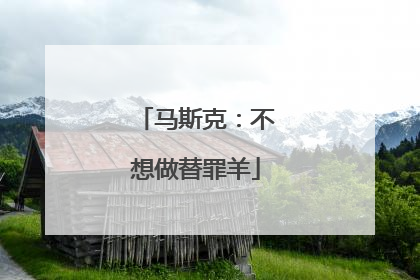 马斯克：不想做替罪羊