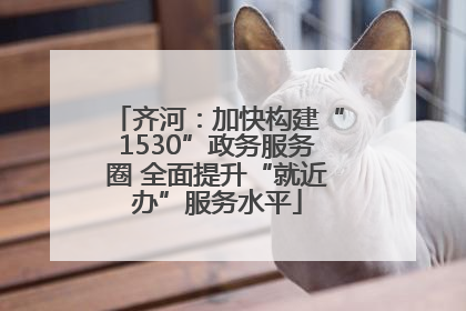 齐河：加快构建“1530”政务服务圈 全面提升“就近办”服务水平