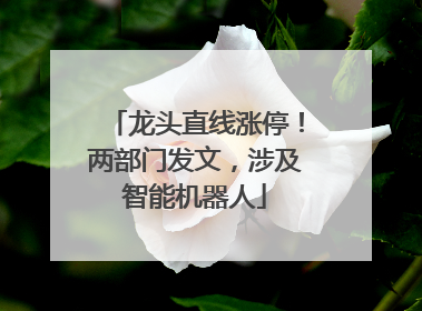 龙头直线涨停！两部门发文，涉及智能机器人