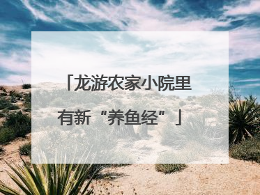 龙游农家小院里有新“养鱼经”