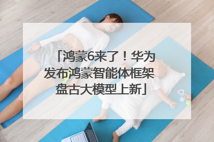 鸿蒙6来了！华为发布鸿蒙智能体框架 盘古大模型上新