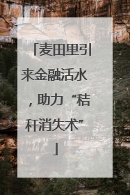 麦田里引来金融活水，助力“秸秆消失术”
