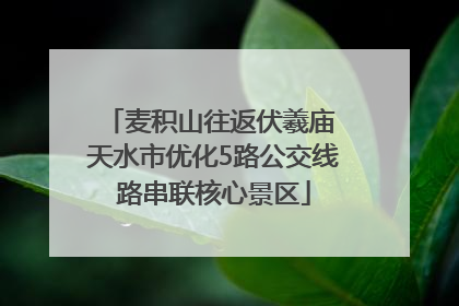 麦积山往返伏羲庙 天水市优化5路公交线路串联核心景区