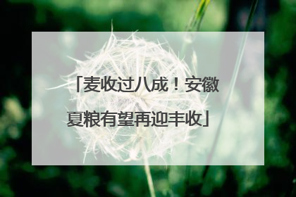 麦收过八成！安徽夏粮有望再迎丰收