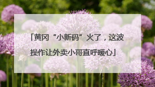 黄冈“小新码”火了，这波操作让外卖小哥直呼暖心