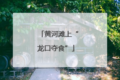 黄河滩上“龙口夺食”