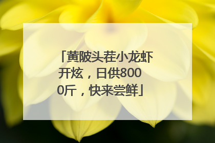 黄陂头茬小龙虾开炫，日供8000斤，快来尝鲜