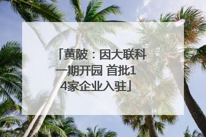 黄陂：因大联科一期开园 首批14家企业入驻