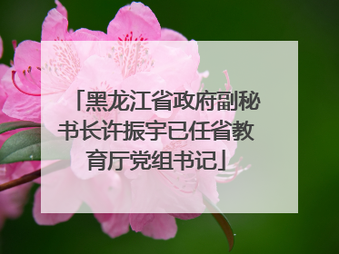 黑龙江省政府副秘书长许振宇已任省教育厅党组书记
