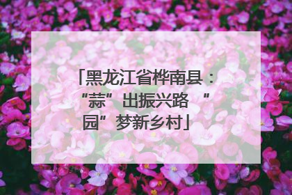 黑龙江省桦南县：“蒜”出振兴路 “园”梦新乡村