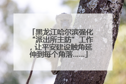 黑龙江哈尔滨强化“派出所主防”工作，让平安建设触角延伸到每个角落……