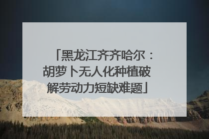 黑龙江齐齐哈尔：胡萝卜无人化种植破解劳动力短缺难题