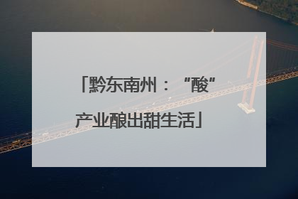 黔东南州：“酸”产业酿出甜生活