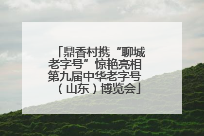 鼎香村携“聊城老字号”惊艳亮相第九届中华老字号（山东）博览会